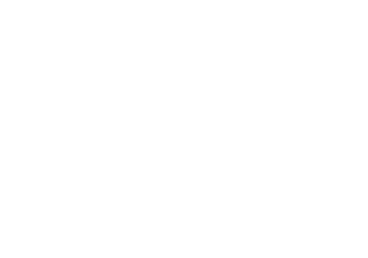 TMG, an RIA company